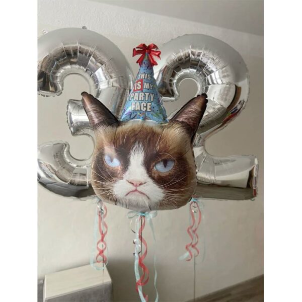 Набор шаров с котиком