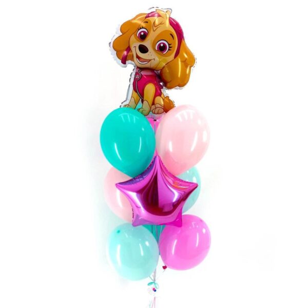 Зв'язка куль "Подружка Скай"