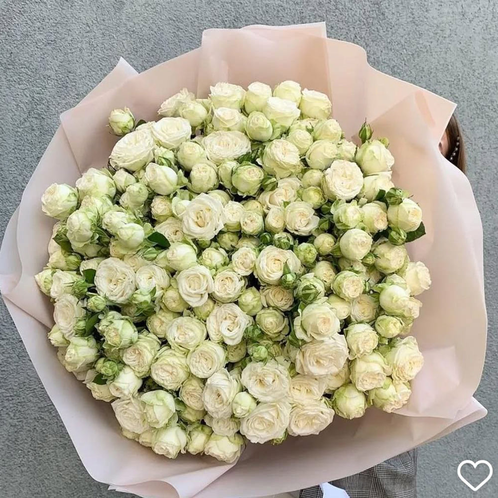 Букет из роз "Жемчужная изысканность"